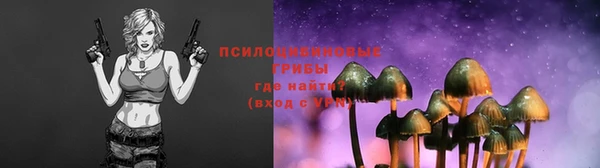 МДПВ Заволжск