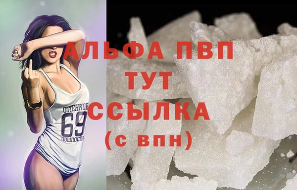 стафф Заволжье