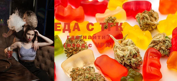 индика Зеленодольск