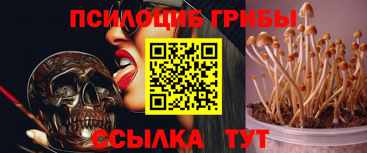 Галлюциногенные грибы мицелий  Вход с VPN  Верхняя Пышма 